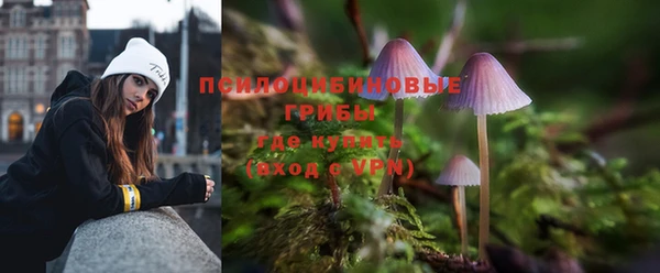 mix Белокуриха
